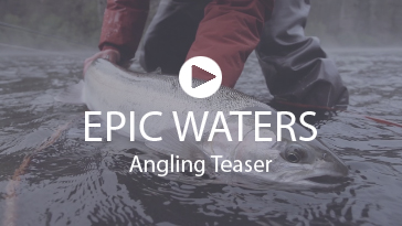Angling Teaser